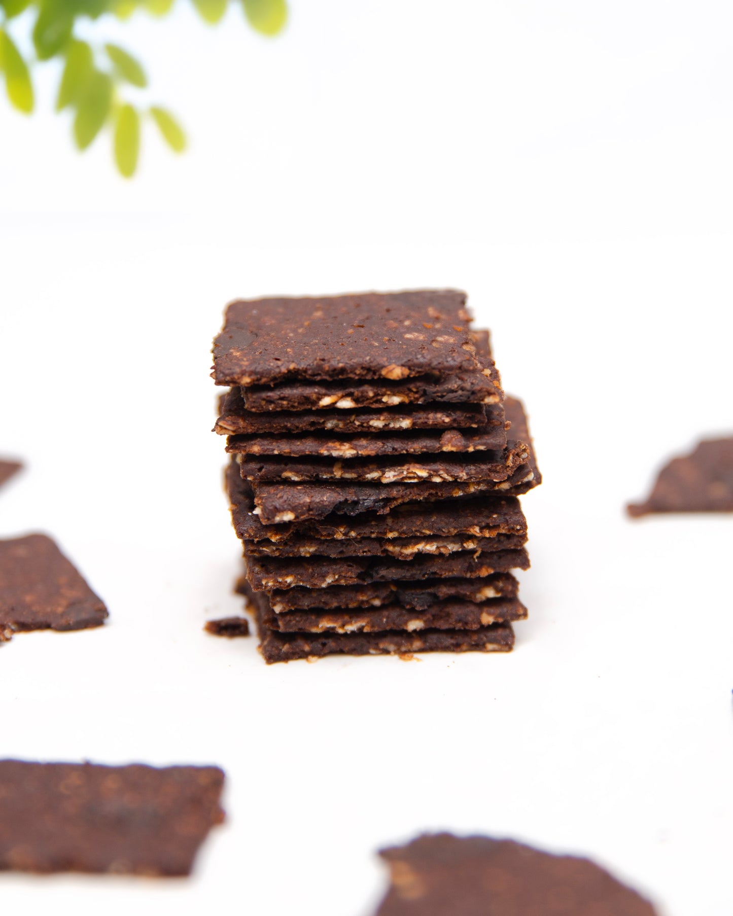 Chocolate Oats Biscuits